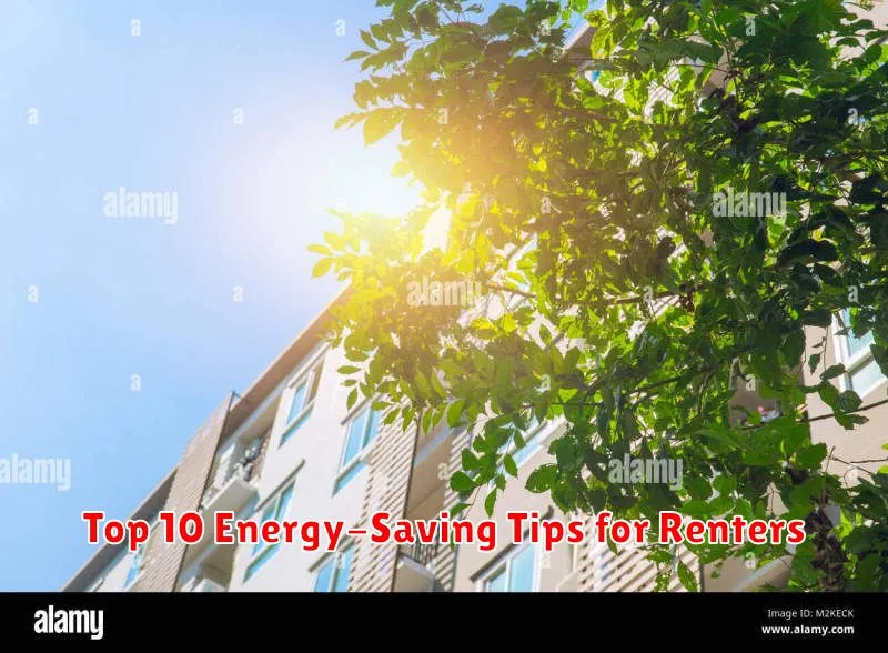 Top 10 Energy-Saving Tips for Renters